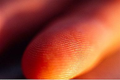 《侏罗纪世界：进化2》首个DLC公布 预告片分享